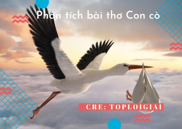 Dàn ý phân tích bài thơ Con cò - Toploigiai