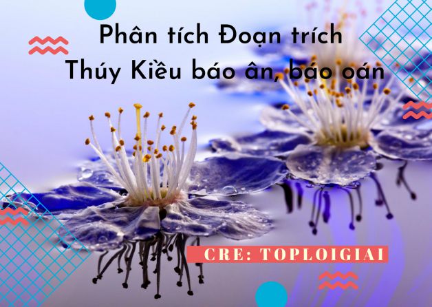 Dàn ý phân tích Đoạn trích Thúy Kiều báo ân, báo oán - Toploigiai