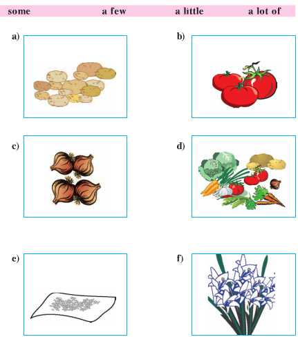 Tiếng Anh lớp 6: Unit 16. Animals and plants | Giải Tiếng Anh lớp 6 hay nhất 