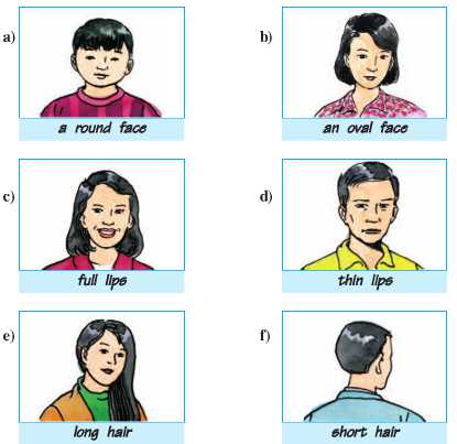 Tiếng Anh lớp 6: Unit 9. Faces | Giải Tiếng Anh lớp 6 hay nhất 