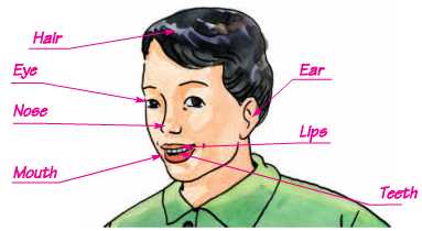 Tiếng Anh lớp 6: Unit 9. Faces | Giải Tiếng Anh lớp 6 hay nhất 