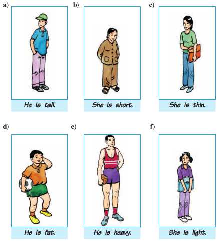 Tiếng Anh lớp 6: Unit 9. Parts of the body | Giải Tiếng Anh lớp 6 hay nhất 