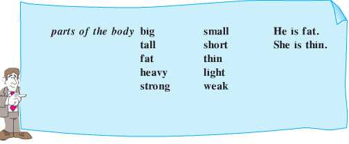 Tiếng Anh lớp 6: Unit 9. Parts of the body | Giải Tiếng Anh lớp 6 hay nhất 