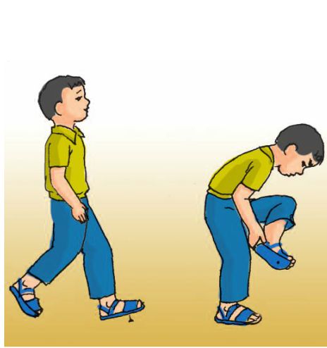 Bài 14. Hoạt động thần kinh (tiếp theo) | Giải bài tập tự nhiên xã hội lớp 3