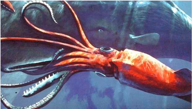 10 động vật lớn nhất dưới đại dương