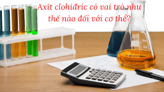 Axit clohiđric có vai trò như thế nào đối với cơ thể?