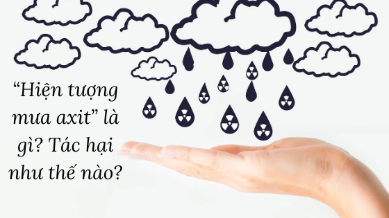 Hiện tượng mưa axit là gì? Tác hại như thế nào?