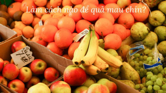 Làm cách nào để quả mau chín?