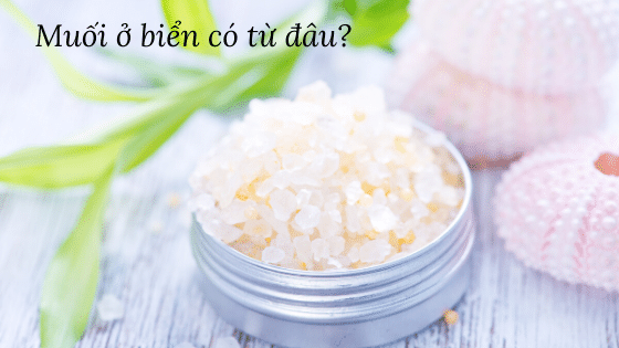 Muối ở biển có từ đâu?