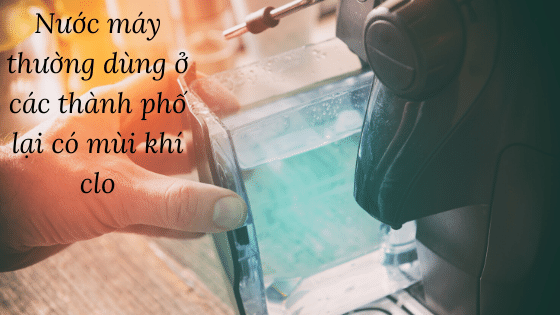 Tại sao nước máy thường dùng ở các thành phố lại có mùi khí clo?