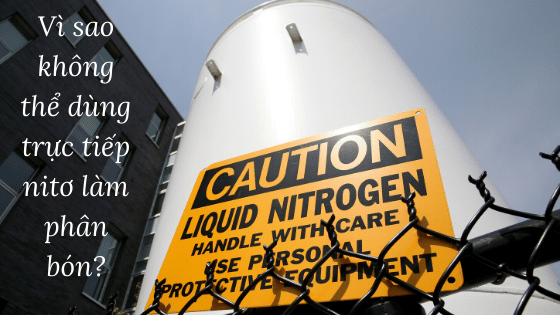 Vì sao không thể dùng trực tiếp nitơ làm phân bón?