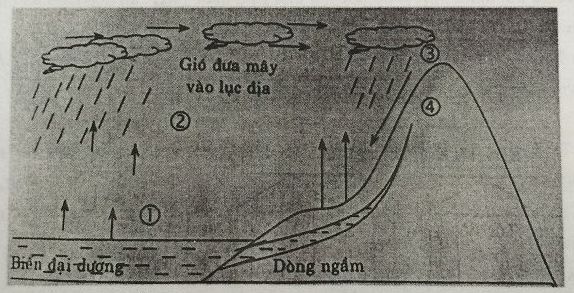 Minh họa bằng hình vẽ về tuần hoàn của nước trong lớp vỏ địa lí. Trình bày các giai đoạn tuần hoàn của nước. Phân biệt sự khác nhau giữa vòng tuần hoàn...