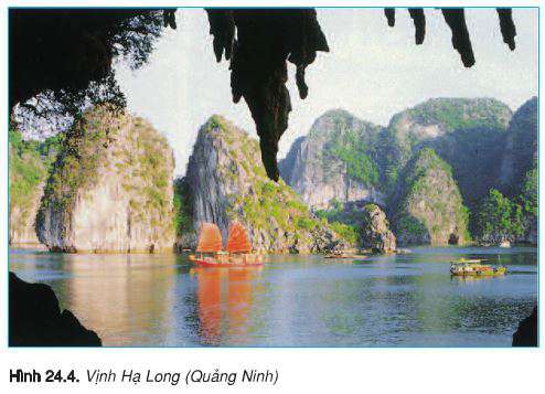 Lý thuyết Địa 8: Bài 24. Vùng biển Việt Nam | Giải Địa 8 - TopLoigiai
