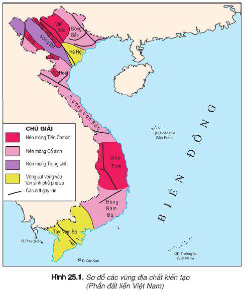 Lý thuyết Địa 8: Bài 25. Lịch sử phát triển của tự nhiên Việt Nam | Giải Địa 8 - TopLoigiai