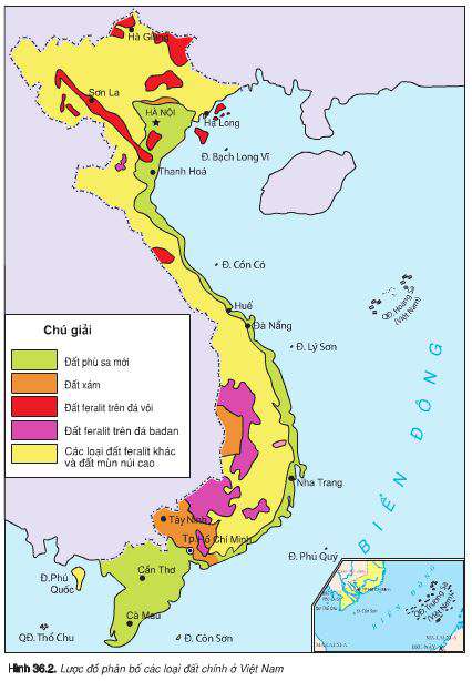 Lý thuyết Địa 8: Bài 36. Đặc điểm đất Việt Nam | Giải Địa 8 - TopLoigiai