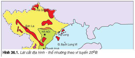 Lý thuyết Địa 8: Bài 36. Đặc điểm đất Việt Nam | Giải Địa 8 - TopLoigiai