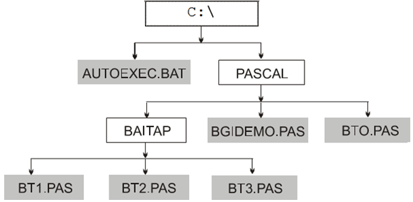 Lý thuyết Tin học 10: Bài 11. Tệp và quản lí tệp - Chi tiết, hay nhất (ảnh 1)