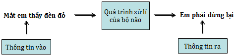 Lý thuyết Tin học 6: Bài 1. Thông tin và Tin học - Chi tiết, hay nhất