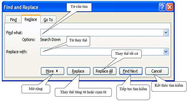 Lý thuyết Tin học 6: Bài 19. Tìm kiếm và thay thế - Chi tiết, hay nhất (ảnh 4)