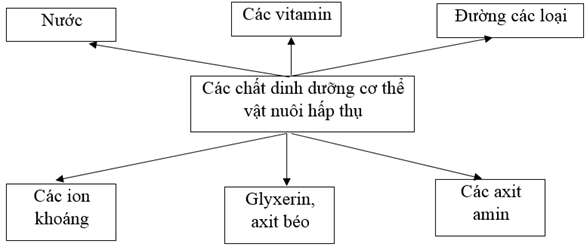 Giải: Bài 2 trang 51 SBT Công nghệ 7 – TopLoigiai