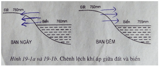 Giải SBT Địa 6 trang 61, 62, 63 Phần học sinh đại trà - TopLoigiai