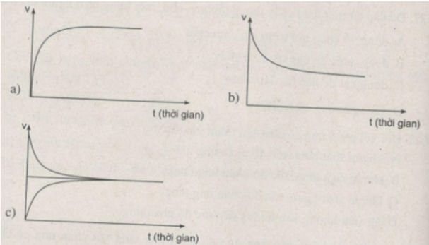 Giải SBT Hóa 10: Bài 39. Luyện tập: Tốc độ phản ứng và cân bằng hóa học - Toploigiai (Ảnh 3)