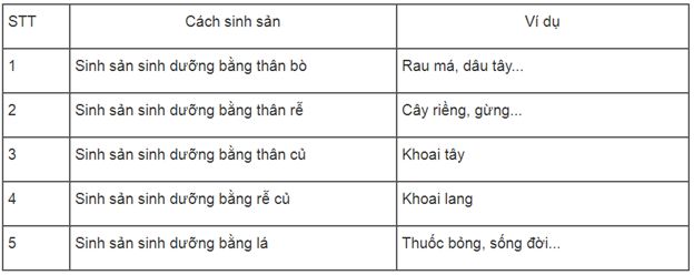 Giải SBT Sinh 6: Bài tập có lời giải trang 45, 46 SBT Sinh học 6