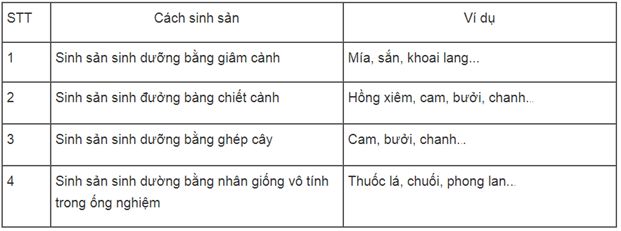 Giải SBT Sinh 6: Bài tập có lời giải trang 45, 46 SBT Sinh học 6 (ảnh 2)