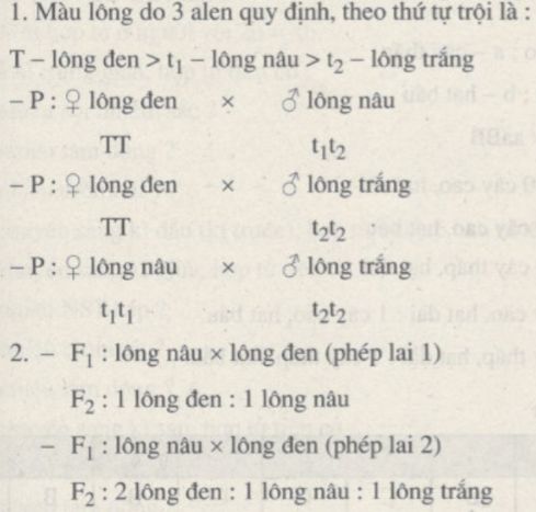 Giải SBT Sinh 9: Bài tập tự luận trang 8, 9, 10, 11 SBT Sinh học 9