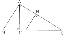 Giải SBT Toán 8: Bài 8. Các trường hợp đồng dạng của tam giác vuông - Toploigiai