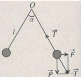 Giải SBT Vật lý 11: Bài 1. Điện tích. Định luật Cu-lông | Giải sách bài tập Vật lý 11 (ảnh 4)