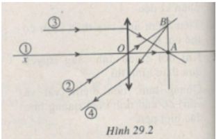 Giải SBT Vật lý 11: Bài 29. Thấu kính mỏng | Giải sách bài tập Vật lý 11 (ảnh 3)