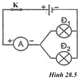 Giải SBT Vật lý 7: Bài 28. Thực hành. Đo cường độ dòng điện và hiệu điện thế đối với đoạn mạch song song – TopLoigiai (ảnh 8)