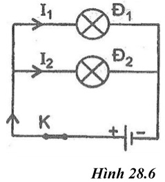 Giải SBT Vật lý 7: Bài 28. Thực hành. Đo cường độ dòng điện và hiệu điện thế đối với đoạn mạch song song – TopLoigiai (ảnh 9)