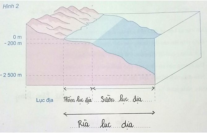 Bài 11: Thực hành: Sự phân bố các lụa địa và đại dương trên bề mặt Trái Đất - Giải Tập bản đồ Địa Lí 6 hay nhất (ảnh 1)