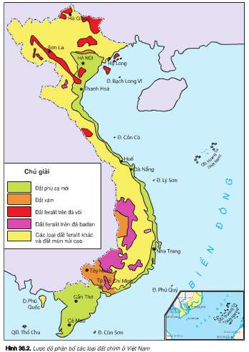 Giải Tập bản đồ Địa lý 8: Bài 36. Đặc điểm đất Việt Nam - Toploigiai