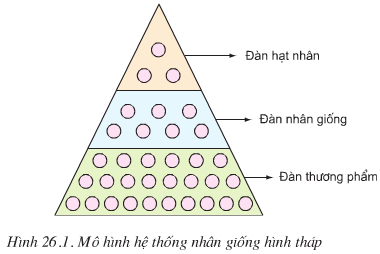 So sánh tháp nhu cầu Maslow với thuyết hai nhân tố Herzberg  Kinh Tế Quản  Trị