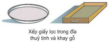 Soạn Công nghệ 7 Bài 18 ngắn nhất: Thực hành: Xác định sức nảy mầm và tỉ lệ nảy mầm của hạt giống (ảnh 3)