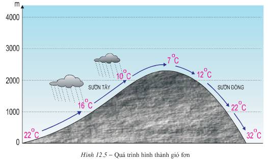 Soạn Địa 10 Bài 12 ngắn nhất: Sự phân bố khí áp. Một số loại gió chính (ảnh 4)