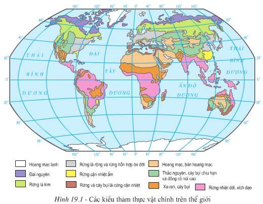 Soạn Địa 10 Bài 19 ngắn nhất: Sự phân bố sinh vật và đất trên Trái đất (ảnh 2)