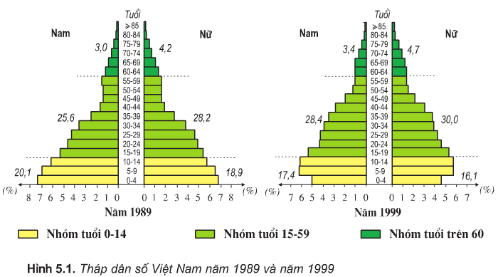 Soạn Địa 9 Bài 5 ngắn nhất: Thực hành: Phân tích và so sánh tháp dân số năm 1989 và năm 1999 (ảnh 2 )
