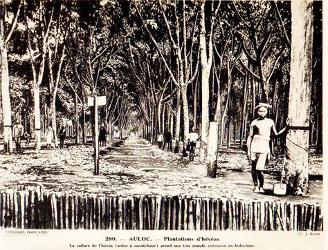 Soạn sử 9 Bài 14 ngắn nhất: Việt Nam sau chiến tranh thế giới thứ nhất (ảnh 2)