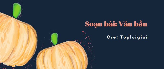 Soạn văn 10 siêu ngắn: Văn bản- TopLoigiai