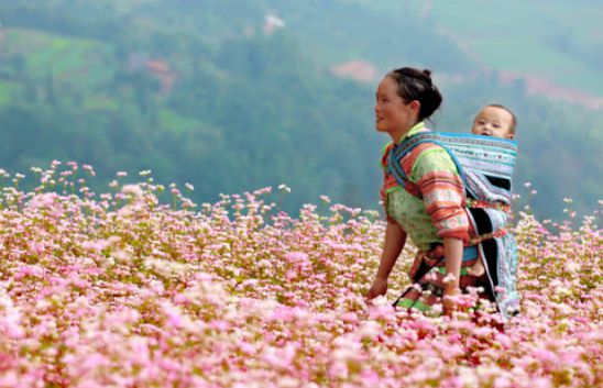 Soạn bài Khúc hát ru những em bé lớn trên lưng mẹ | Soạn văn 9