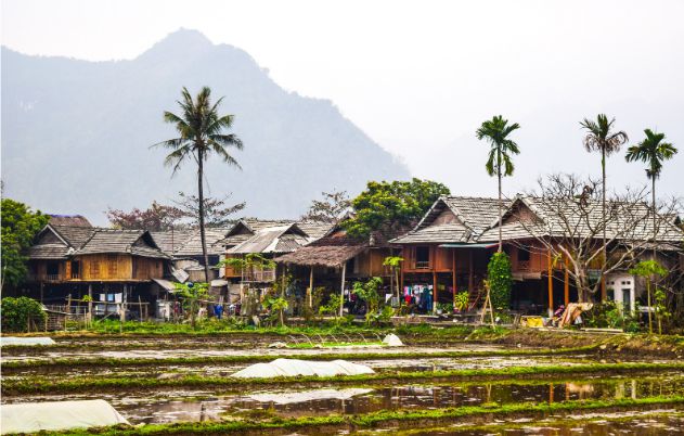 Soạn bài Làng | Soạn văn 9