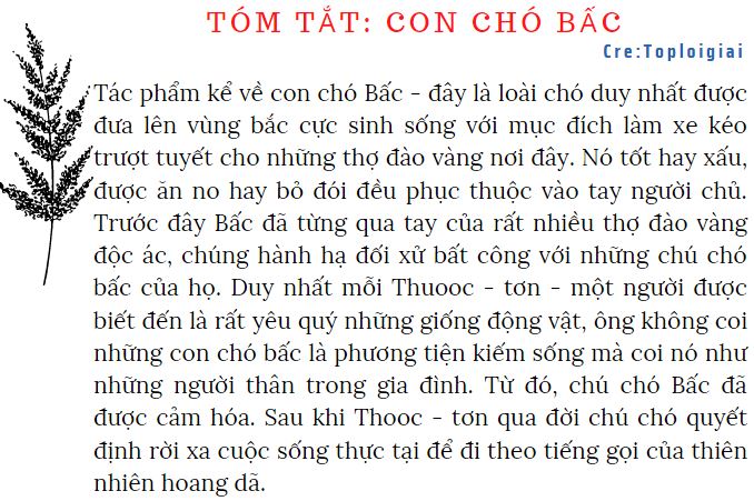 Soạn văn 9 siêu ngắn: Con chó Bấc - Trích Tiếng gọi nơi hoang dã | Soạn văn 9