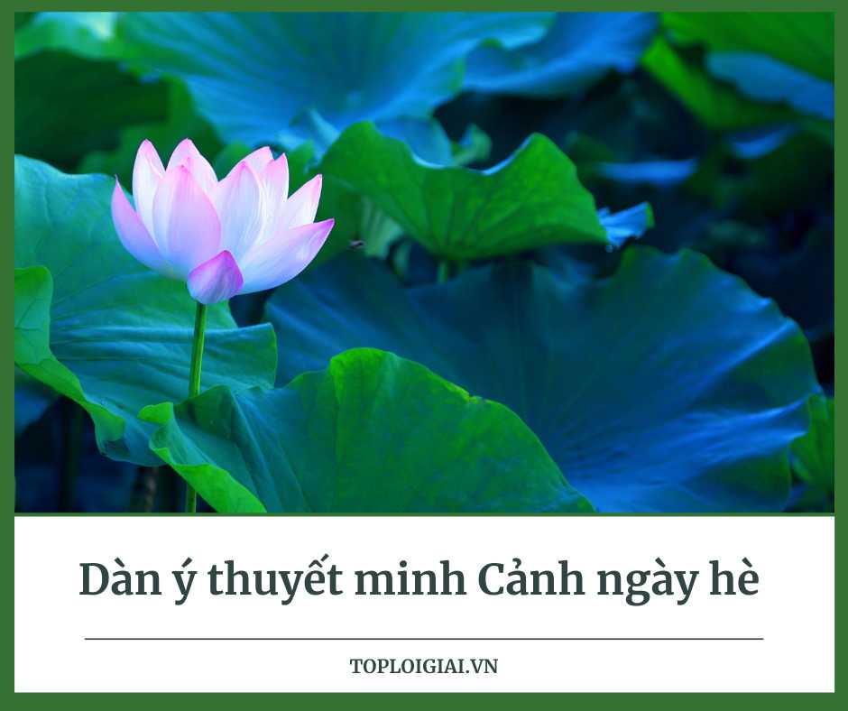Dàn ý thuyết minh cảnh ngày hề của Nguyễn Trãi -  (ảnh 2)