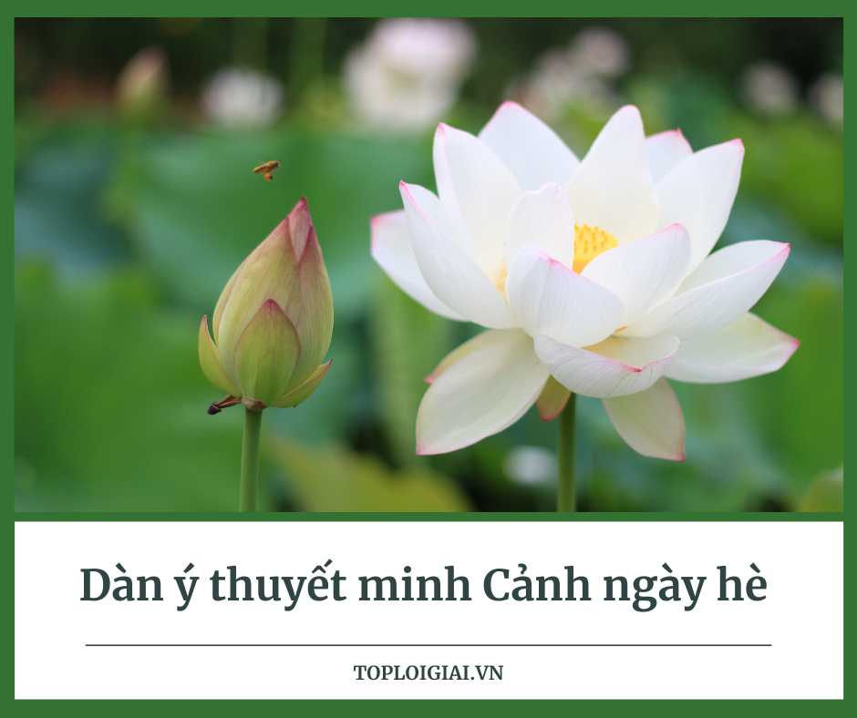 Dàn ý thuyết minh cảnh ngày hề của Nguyễn Trãi - Toploigiai