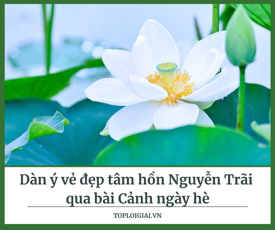 Dàn ý vẻ đẹp tâm hồn Nguyễn Trãi qua bài Cảnh ngày hè - Toploigiai