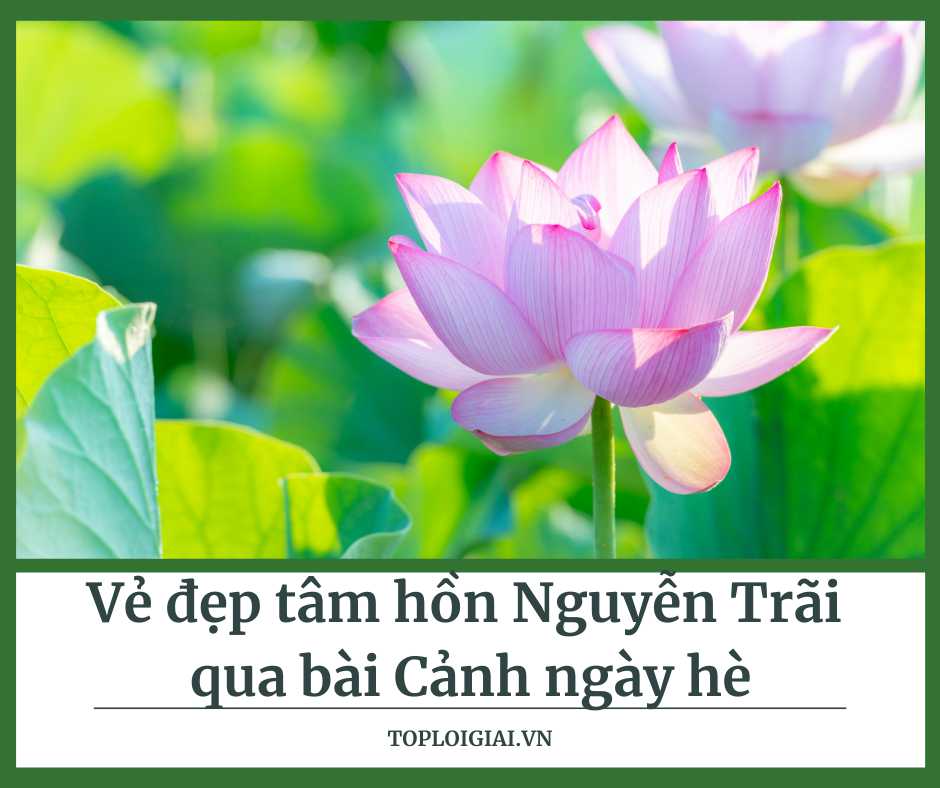 Vẻ đẹp tâm hồn Nguyễn Trãi qua bài Cảnh ngày hè - Toploigiai (ảnh 2)